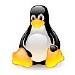 Tux, il pinguino di Linux